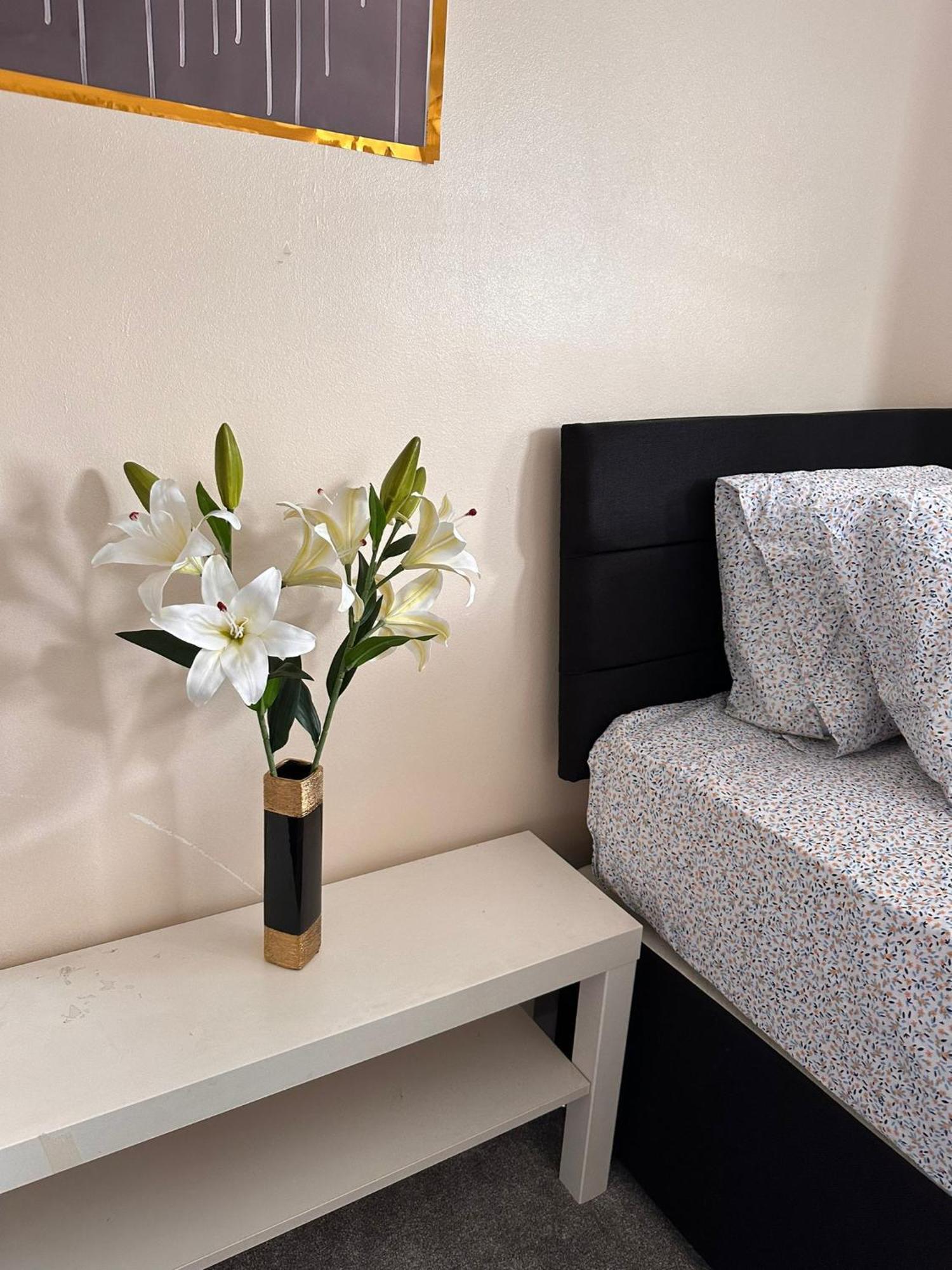 Lovely 1Bedrood Apartment Γκίλντφορντ Εξωτερικό φωτογραφία